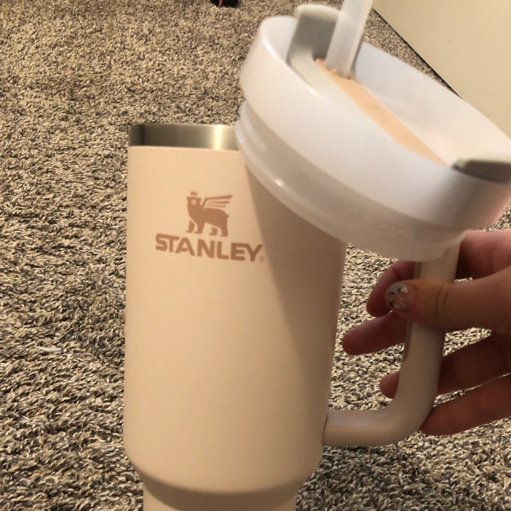 40 oz pink Stanley